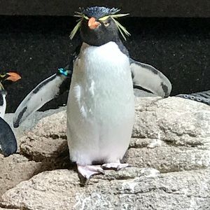 Meet your Posher, Caleb